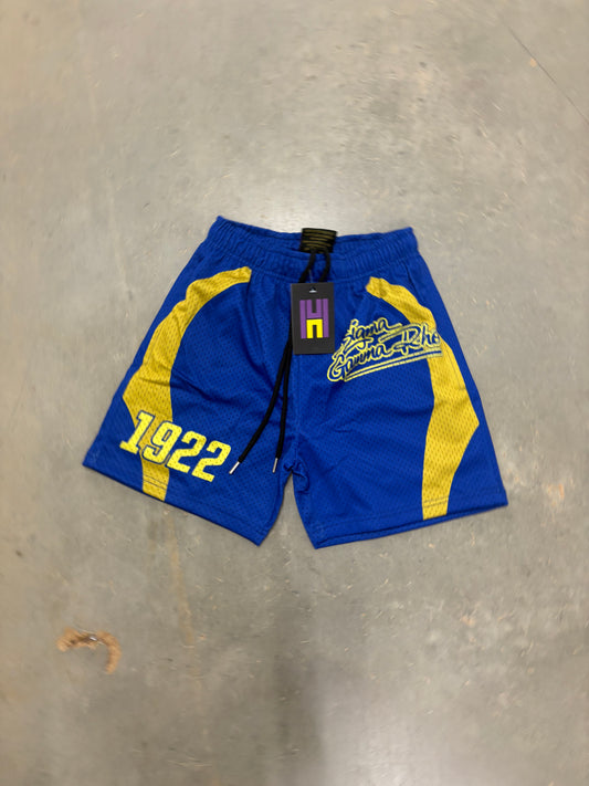 Sigma Gamma Rho Mesh Shorts