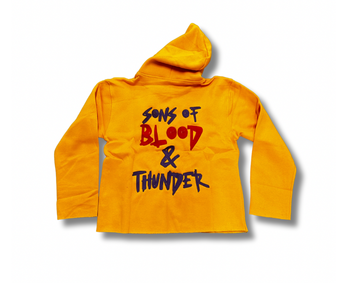 Sons of Blood and Thunder Hoodie