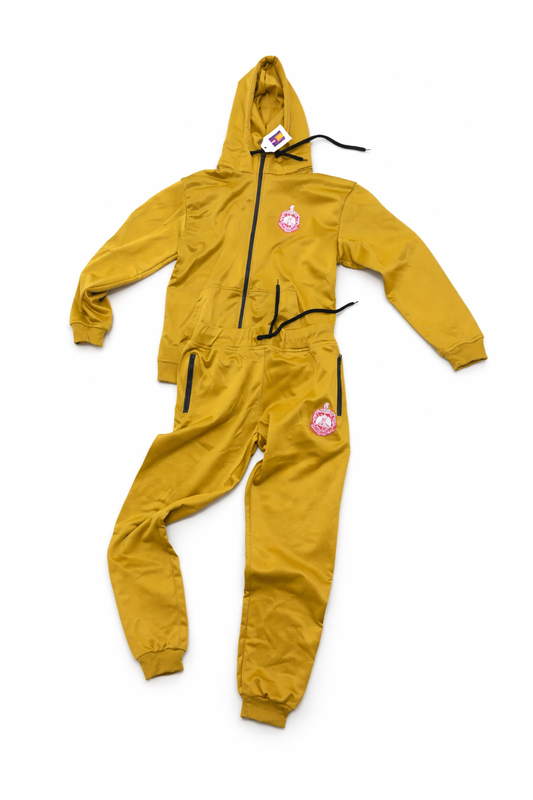 Delta Sigma Theta sweatsuit