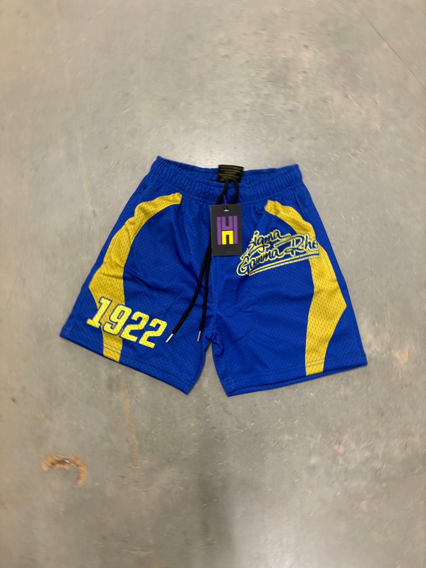 Sigma Gamma Rho Mesh Shorts