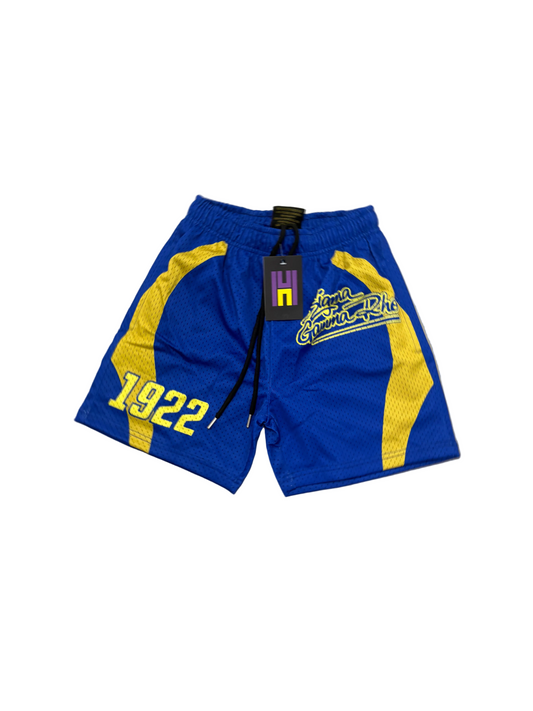 Sigma Gamma Rho Mesh Shorts