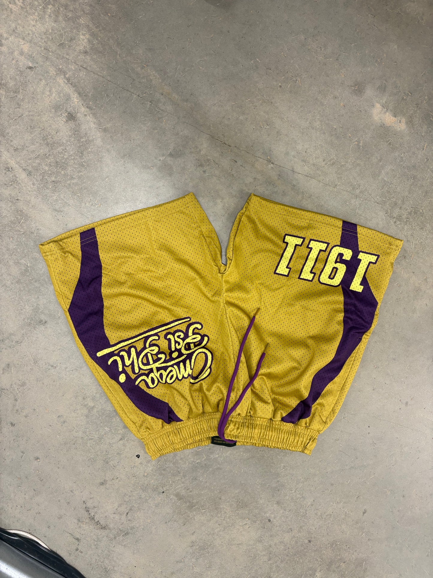 Omega Psi Phi Mesh Shorts