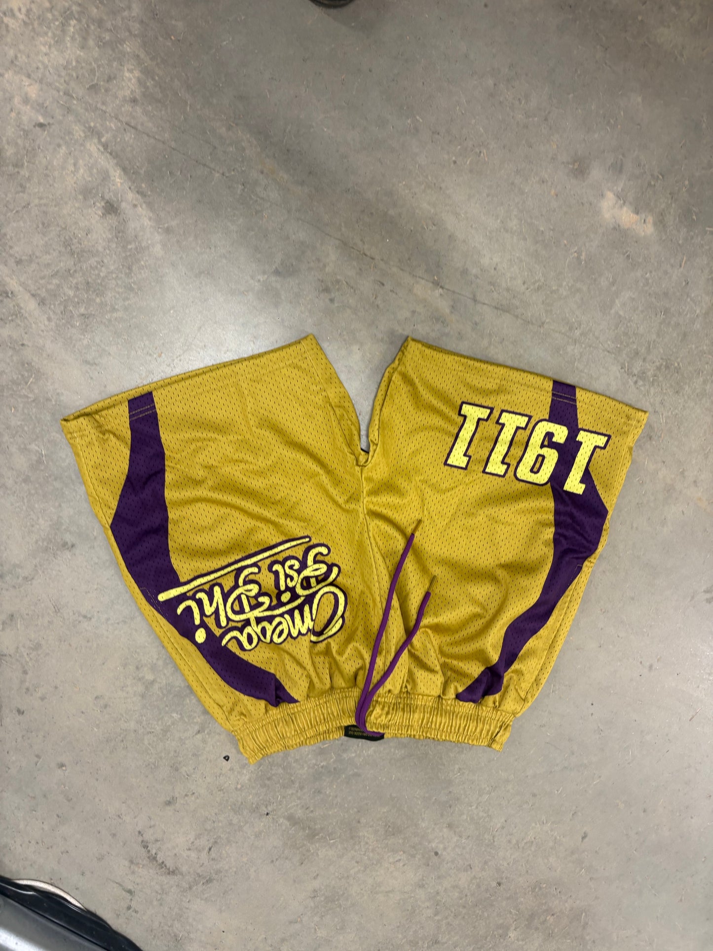 Omega Psi Phi Mesh Shorts