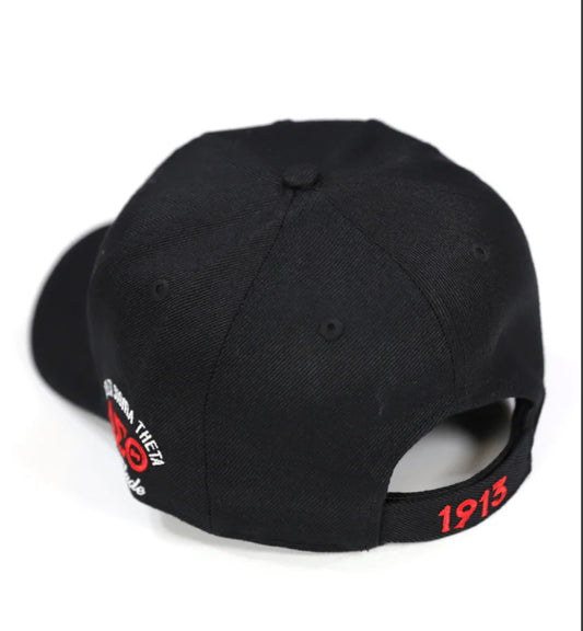 Delta Sigma Theta Velcro back Hat