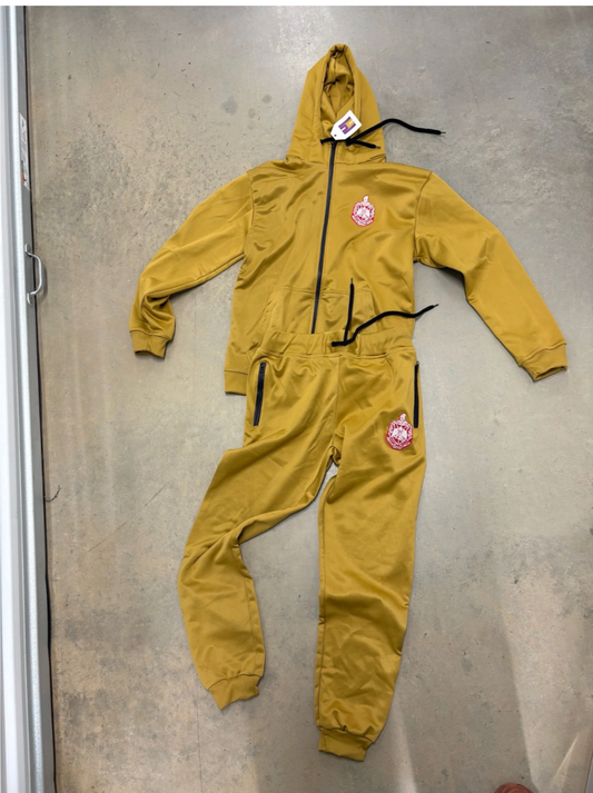 Delta Sigma Theta sweatsuit