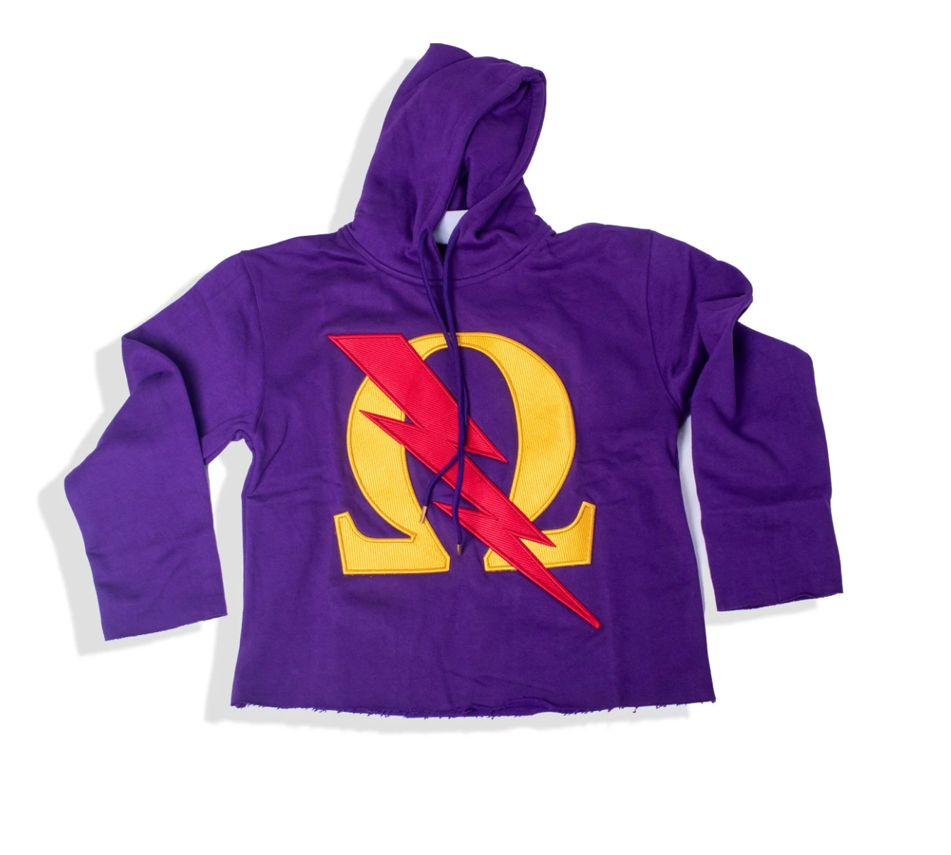 Sons of Blood and Thunder Hoodie