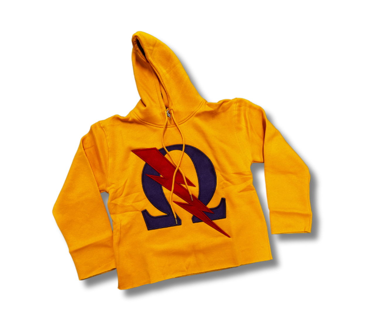 Sons of Blood and Thunder Hoodie