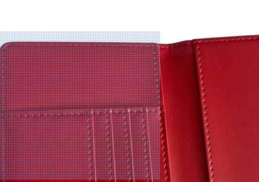 Delta passport holder